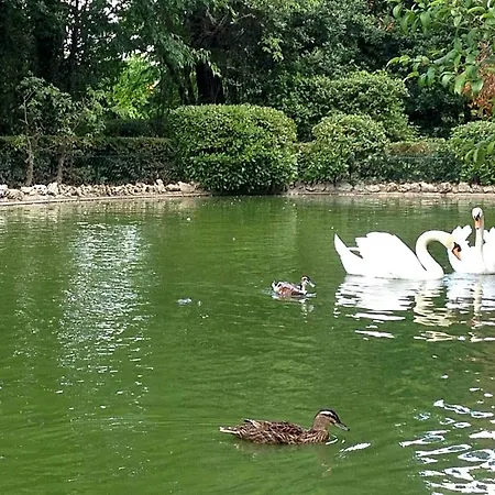 旅行者住宿加早餐旅馆 3*
